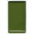 Acuarela Verde Oro Gansai Tambi N°405