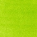 740 Tinta acrílica Liquitex Verde lima vivo 30ml