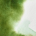 Acuarela W&N 14ml Verde vejiga permanente  S3