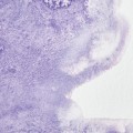 Acuarela W&N 14ml Violeta ultramar S2