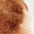 Acuarela W&N 14ml tierra sombra tostada   S1