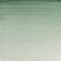 Acuarela W&N 14ml Tierra Verde S1