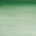 Acuarela Cotman 21ml Verde oscuro de Hooker S1