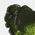 Oleo Winsor & Newton 200ml verde vejiga