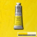 Oleo Winsor & Newton tono amarillo limón
