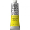 Oleo Winsor & Newton amarillo de cadmio limón