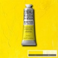 Oleo Winsor & Newton amarillo de cadmio limón