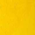 Oleo Winsor & Newton amarillo cromo