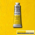 Oleo Winsor & Newton amarillo cromo