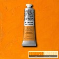 Oleo Winsor & Newton amarillo de cadmio profundo