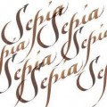 Tinta caligráfica W&N Sepia