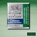 Acuarela en pastilla W&N VERDE DE HOOKER OSCURO