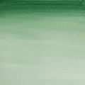 Acuarela en pastilla W&N VERDE DE HOOKER OSCURO