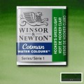 Acuarela en pastilla W&N VERDE DE HOOKER CLARO