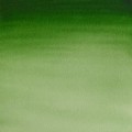 Acuarela en pastilla W&N VERDE DE HOOKER CLARO