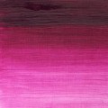 Oleo Winsor & Newton magenta