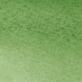 brushpen de acuarela W&N verde de Hooker