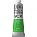 Oleo Winsor & Newton verde claro permanente