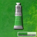 Oleo Winsor & Newton verde claro permanente