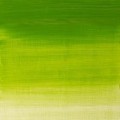 Oleo Winsor & Newton verde de cromo