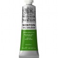 Oleo Winsor & Newton verde de cromo