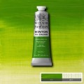 Oleo Winsor & Newton verde de cromo