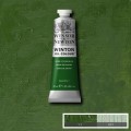 Oleo Winsor & Newton óxido de cromo