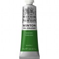 Oleo Winsor & Newton tierra verde