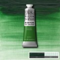 Oleo Winsor & Newton tierra verde