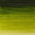 Oleo Winsor & Newton verde vejiga