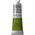 Oleo Winsor & Newton verde vejiga