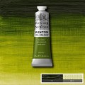 Oleo Winsor & Newton verde vejiga