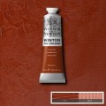 Oleo Winsor & Newton rojo indio