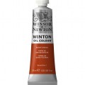 Oleo Winsor & Newton siena tostada
