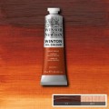 Oleo Winsor & Newton siena tostada