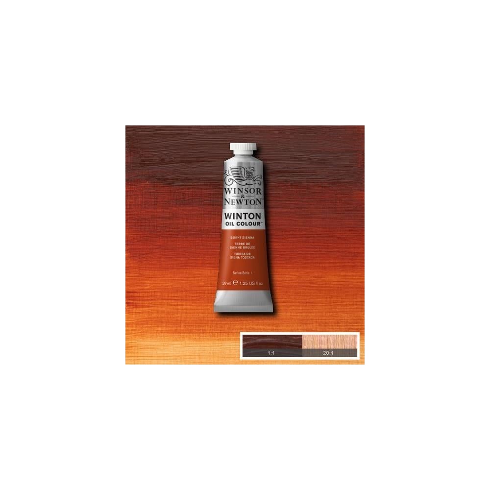 Oleo Winsor & Newton siena tostada
