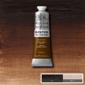 Oleo Winsor & Newton tierra de sombra tostada