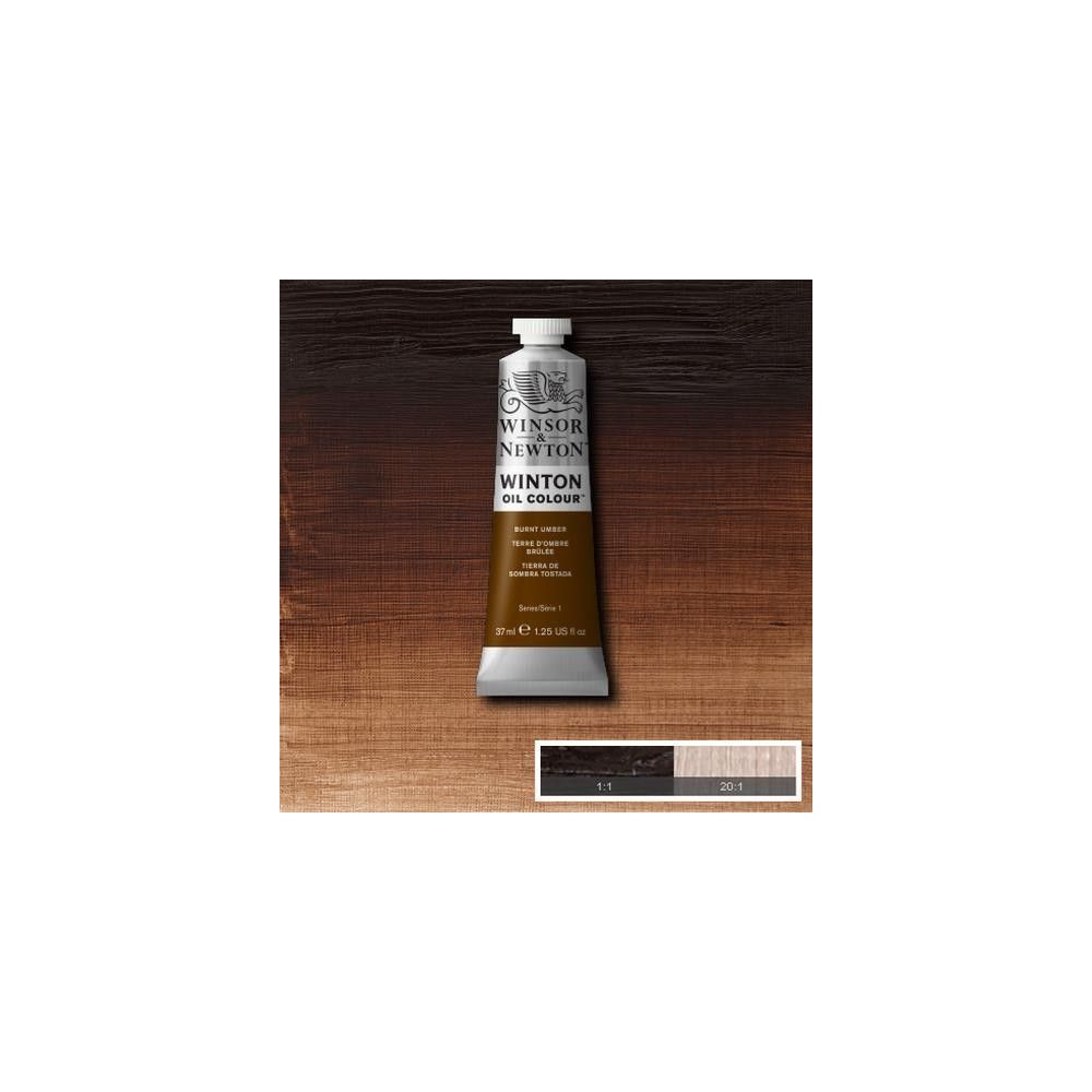 Oleo Winsor & Newton tierra de sombra tostada