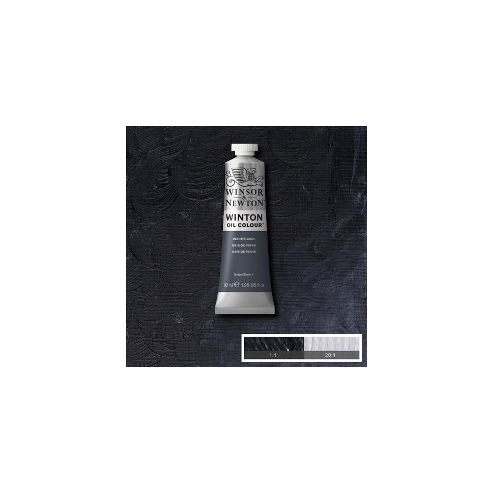Oleo Winsor & Newton gris de payne