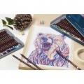 Lapices Coloursoft Derwent 12