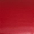 Acuarela Profesional W&N Rojo winsor oscuro