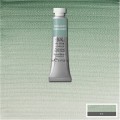 Acuarela Profesional W&N  Tierra verde