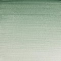 Acuarela Profesional W&N  Tierra verde