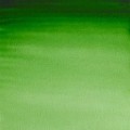 Acuarela Profesional W&N Verde hooker