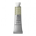 Acuarela Profesional W&N Tierra verde S.M.