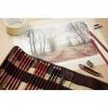 Lapices Drawing paleta especial 12