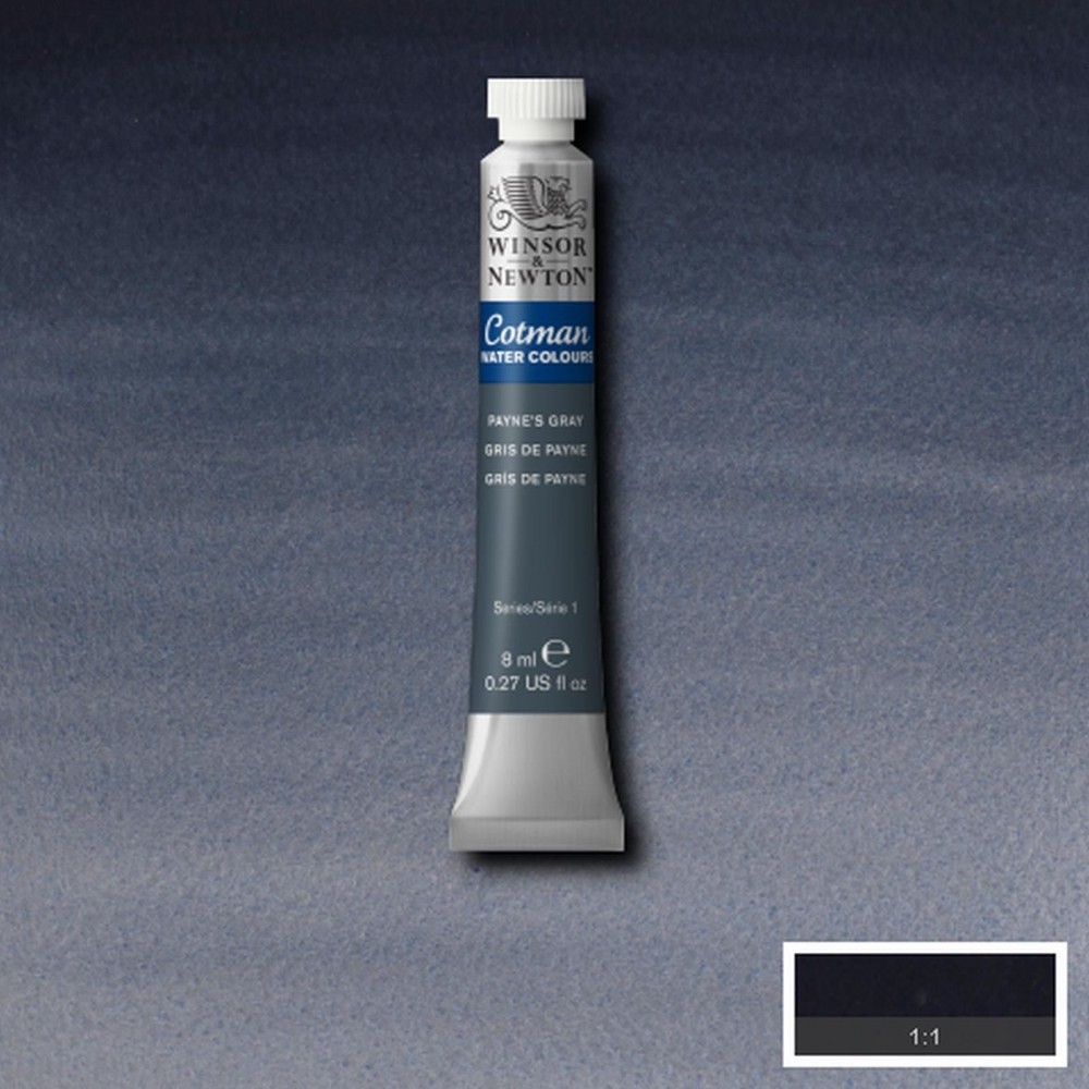Acuarela Cotman gris de Payne