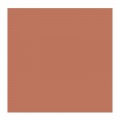 Oleo Rembrandt Bronce 40ml