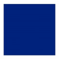 Oleo Rembrandt Azul Idantreno 40ml
