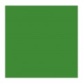 Oleo Rembrandt Verde Cinabrio Medio 40ml